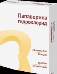 Папаверина гидрохлорид р-р д/ин. 20 мг/мл 2 мл 10 шт.